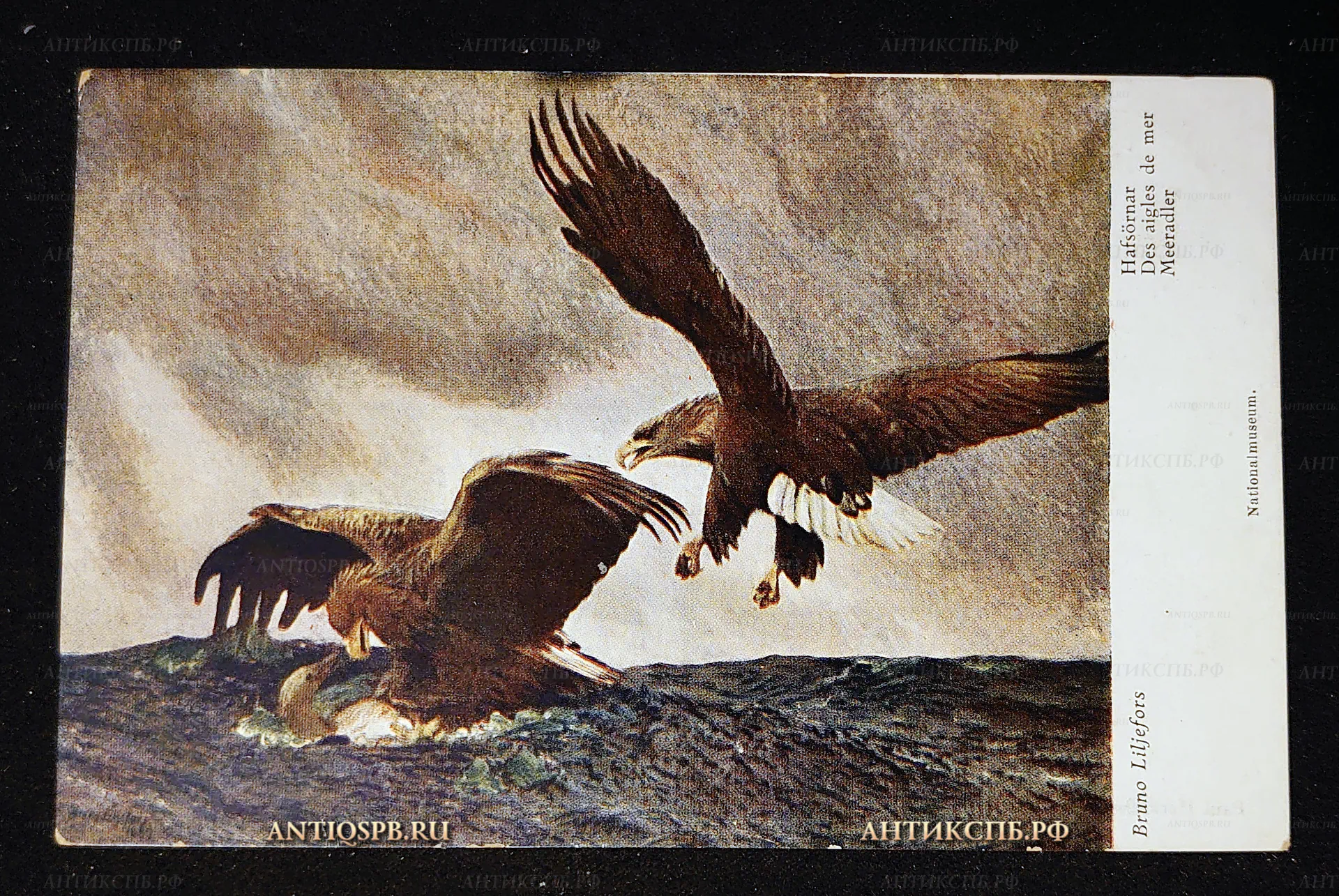 Открытка старинная, открытое письмо "Морские орлы". Бруно Лильефорс. Nationalmuseum. Paul Heckscher, Стокгольм. Нач. ХХ века. №7551